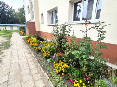 Mieszkanie Wrocław