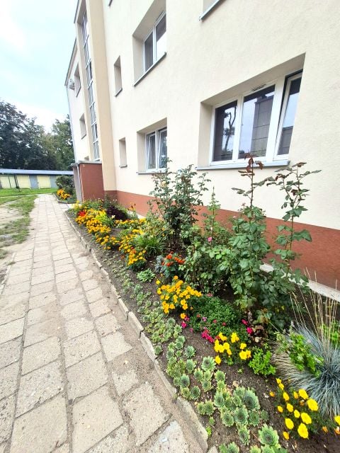 Mieszkanie Wrocław