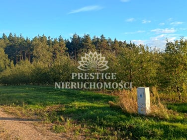 Działka budowlana Szczutki
