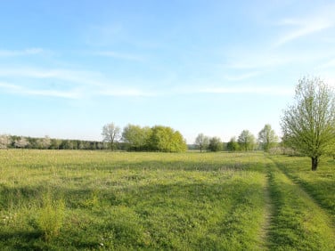 Działka Radwanów