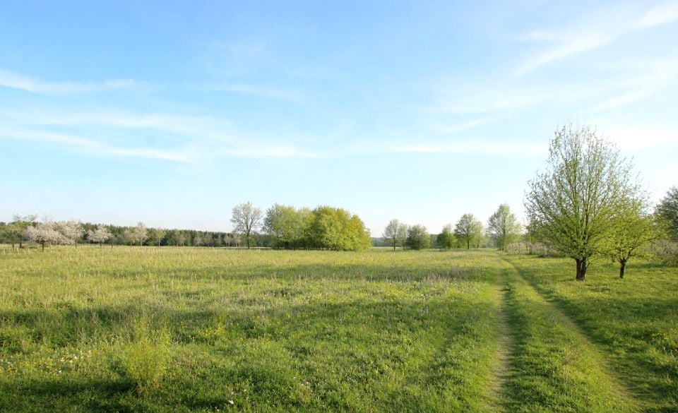 Działka Radwanów