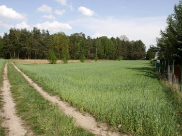 Działka budowlana Kozieł