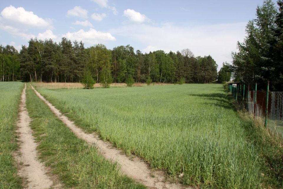Działka budowlana Kozieł