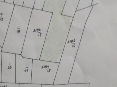 Działka siedliskowa Leśnica
