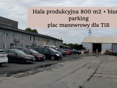 Lokal Święta Katarzyna