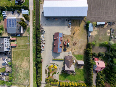 Lokal Wocławy