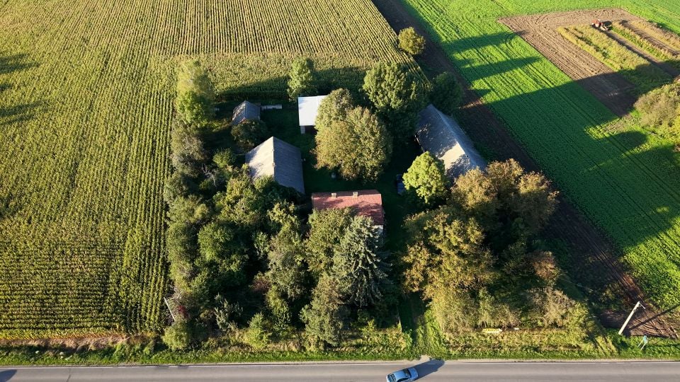 Działka siedliskowa Piekary