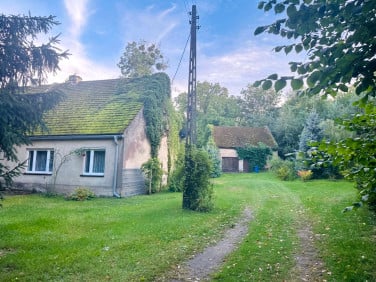 Dom Mościce