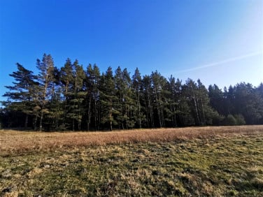 Działka rekreacyjna Ostrowo