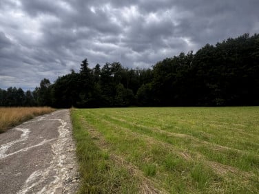 Działka budowlana Połomia