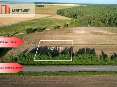 Działka Lisewo