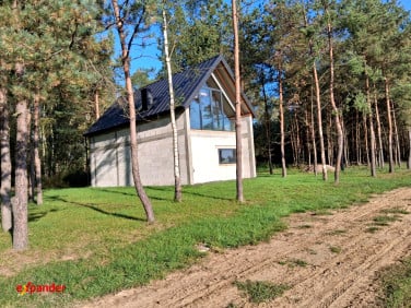 Dom Widełka