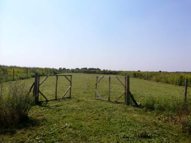 Działka budowlana Kębłowice