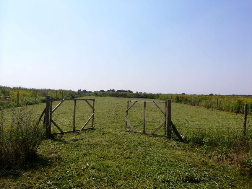 Działka budowlana Kębłowice