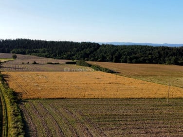 Działka budowlana Stara Łomnica