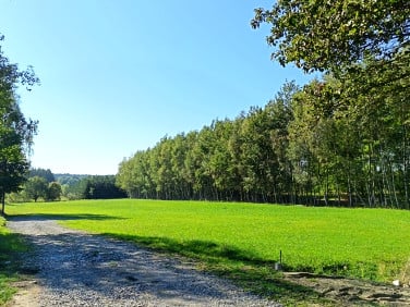 Działka budowlana Czarna Sędziszowska sprzedam