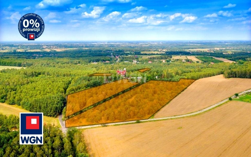 Działka Dąbrowa