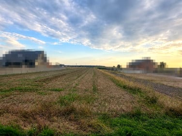 Działka rolna Krzewiny