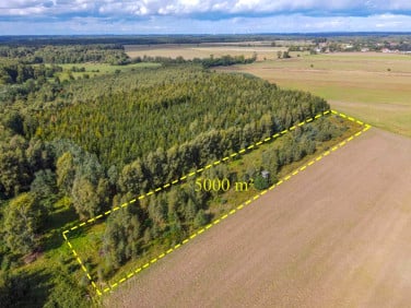 Działka rolna Białogórzyno