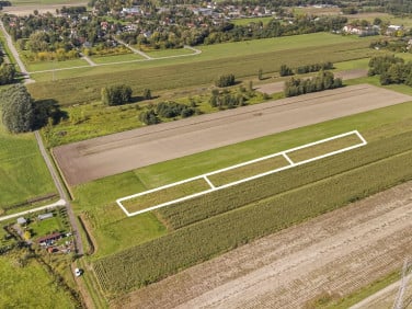 Działka Kampinos A