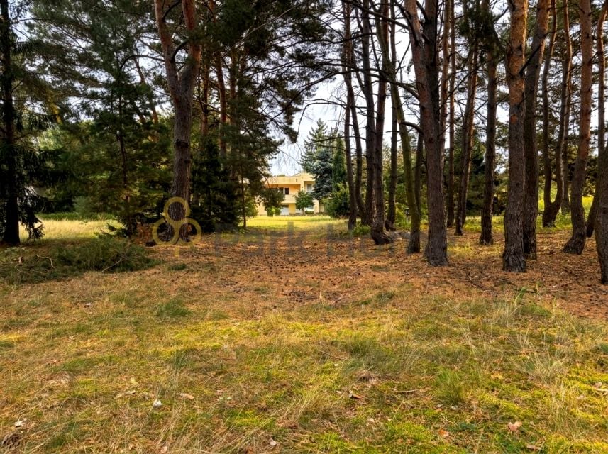 Dom Radzewice