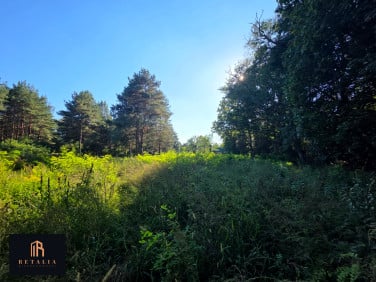 Działka budowlana Grodzisk Mazowiecki