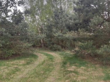 Działka budowlana Podsmardzewo