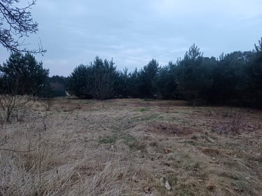 Działka budowlana Borzysławiec