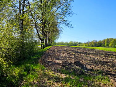 Działka budowlana Łaziska Górne