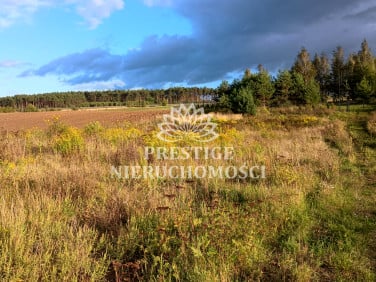 Działka budowlana Osówiec