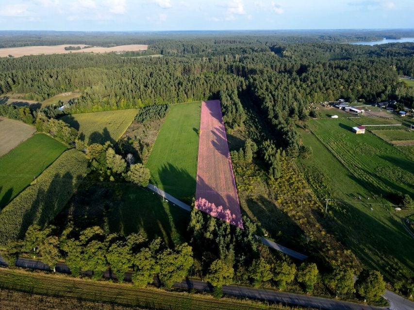 Działka przemysłowa Łukta