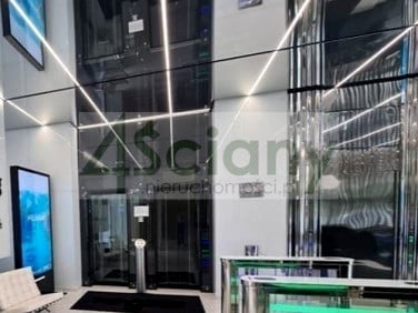 Lokal Warszawa