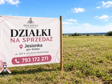 Działka rekreacyjna Jesiona