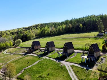Dom Paleśnica
