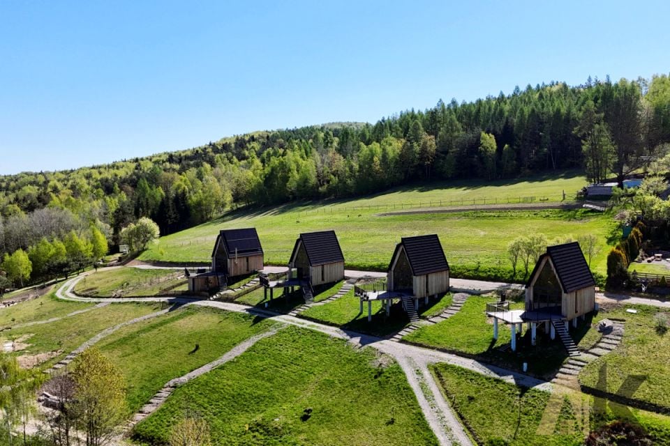 Dom Paleśnica