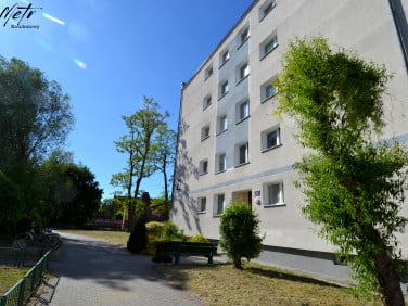 Mieszkanie Malbork