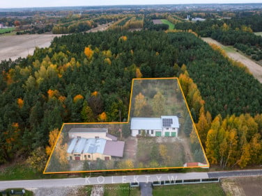 Działka usługowa Dobrut