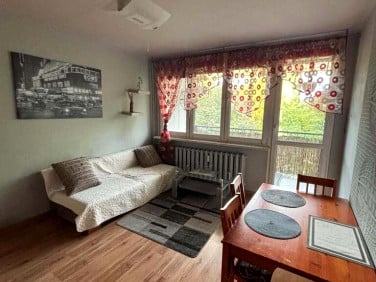 Mieszkanie DĄBROWA GÓRNICZA wynajem