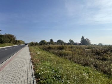 Działka usługowa Złota