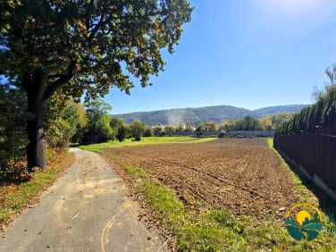 Działka budowlana Niegoszowice
