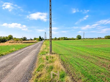 Działka Gorzów Wielkopolski