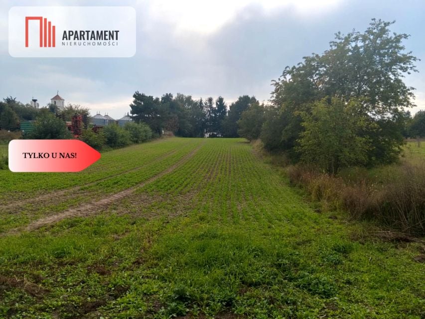Działka inna Brzeg Dolny