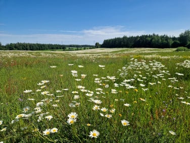 Działka budowlana Kozia Góra