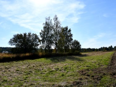 Działka Strażów
