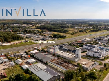 Lokal Gdynia
