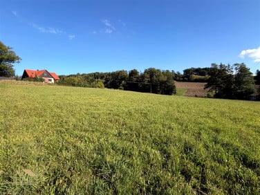 Działka usługowa Wilamowice