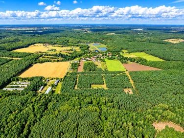 Działka Dąbrówka Kościelna