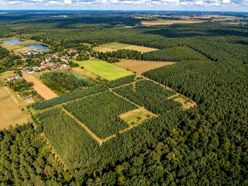Działka Dąbrówka Kościelna