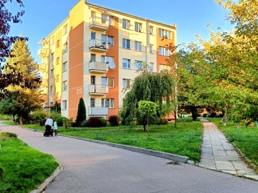 Mieszkanie Bełchatów