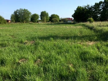 Działka rolna Kładno